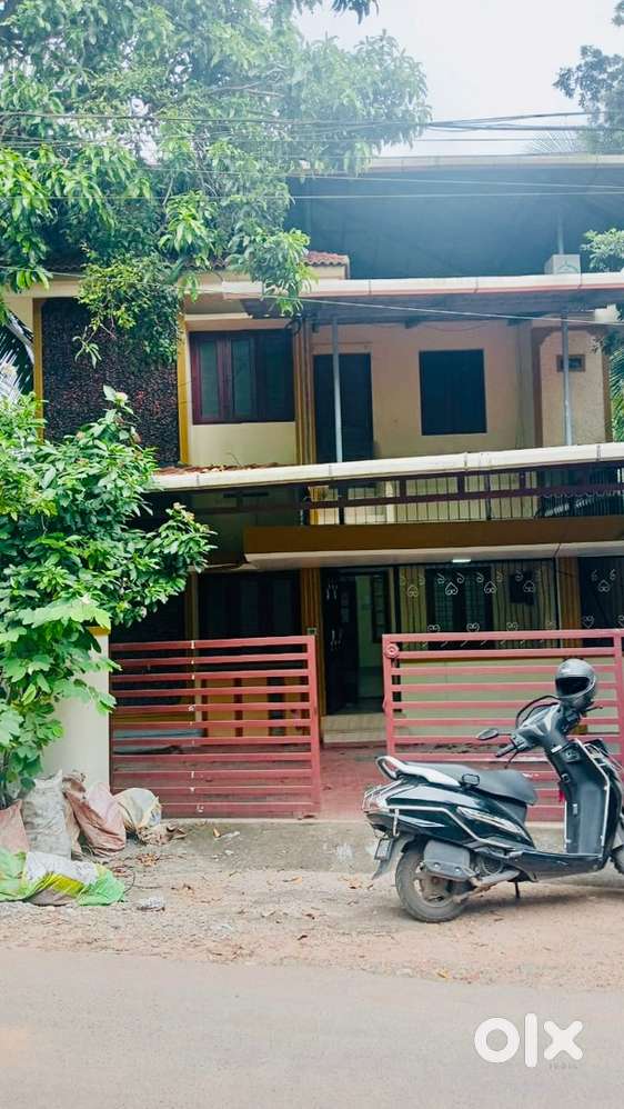 Hostel or paying guest available for students, working persons