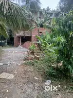Semi Duilt House 2950 stt1.5 km hear to calicut medicalcollege '