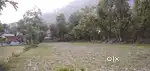 05Biswa Land for sale in chamba( sarol)  Himachal pradesh