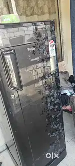 Fridge single door