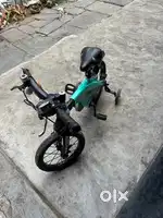 R for Rabbit- Child Bycycle, Bike and Car(jeep) local brands