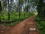 Kothamangalam pulinthanam 60 cent for sale