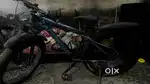 10 days old Best price big tayer ghyer  good qulity  appgw model nm