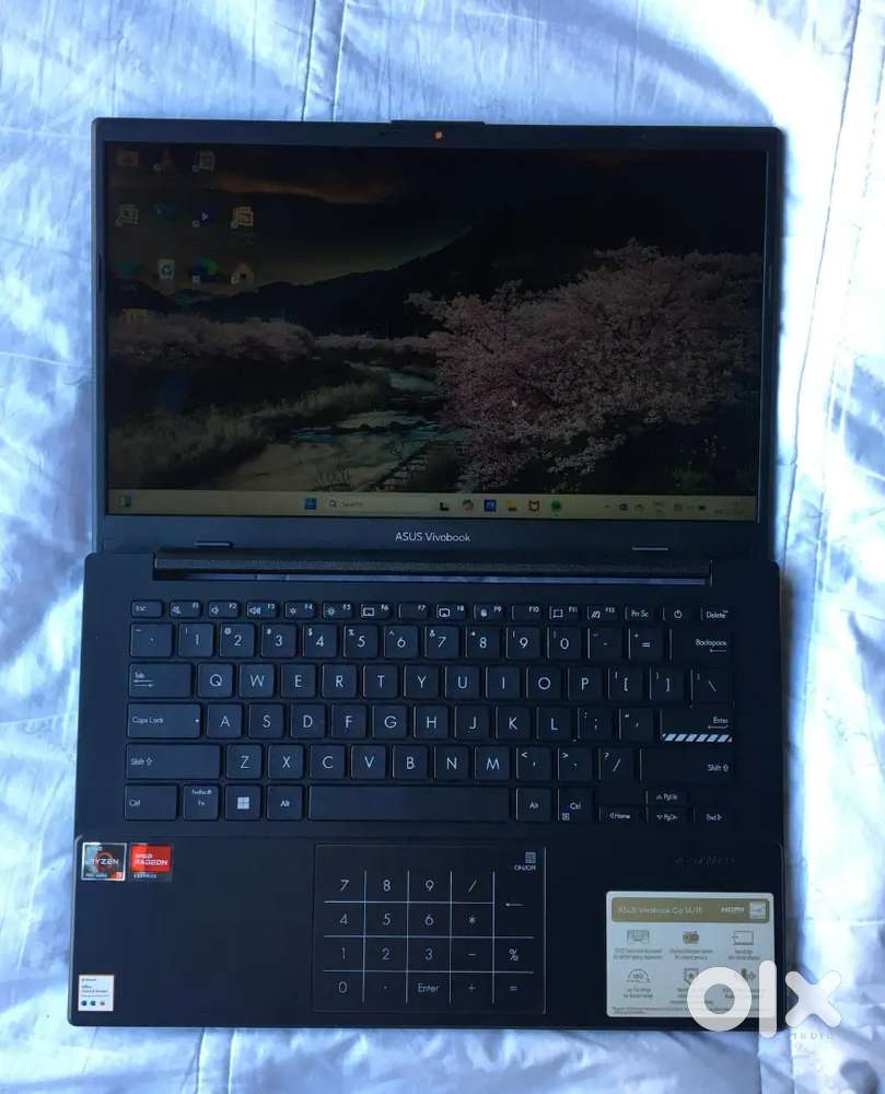 Brand

ASUS

Model Name

ASUS Vivobook Go 14