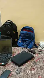 Roommate required