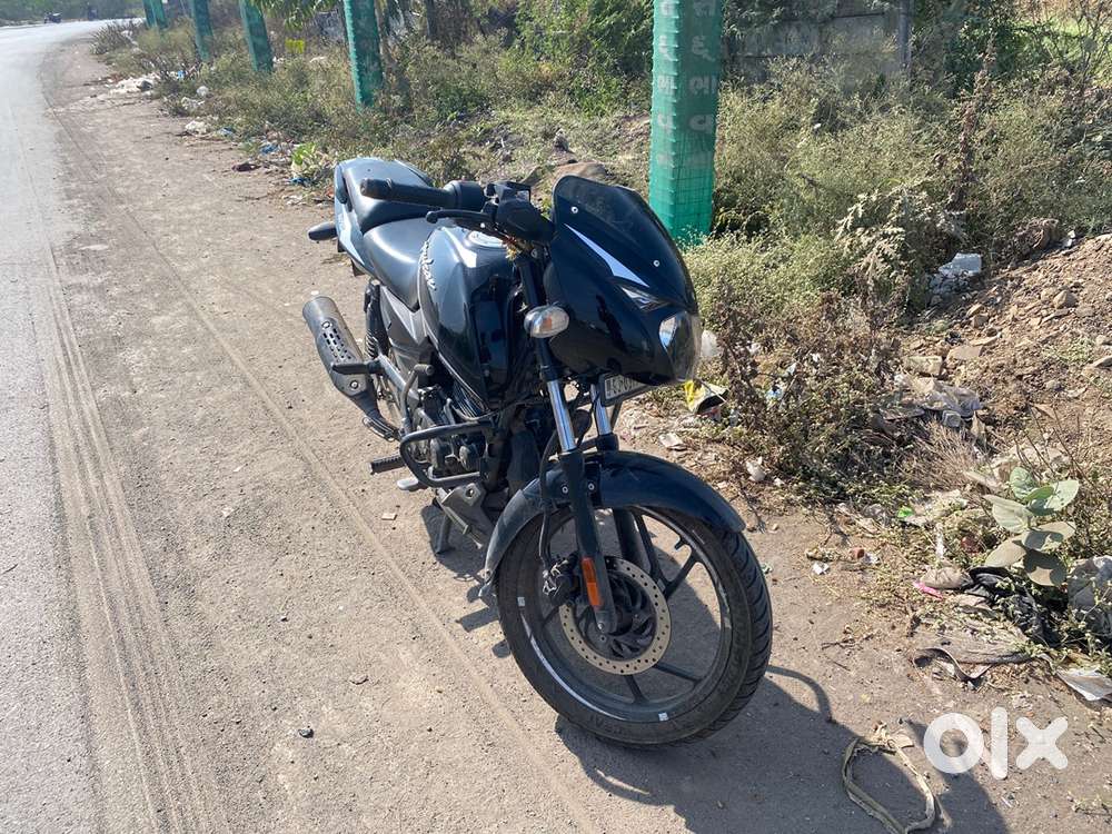 Argent sall 6 month old