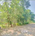 INVESTMENT PURCHASE FRAMLAND FOR SALE