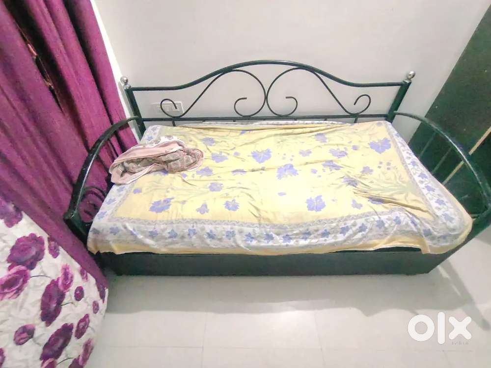 Mini fridge,sofa cum bed, almirah, showcase at best price