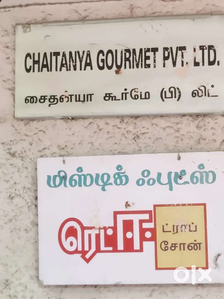 Job offers for Freshers and Experienced