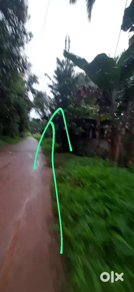 Land for sale in affordable price