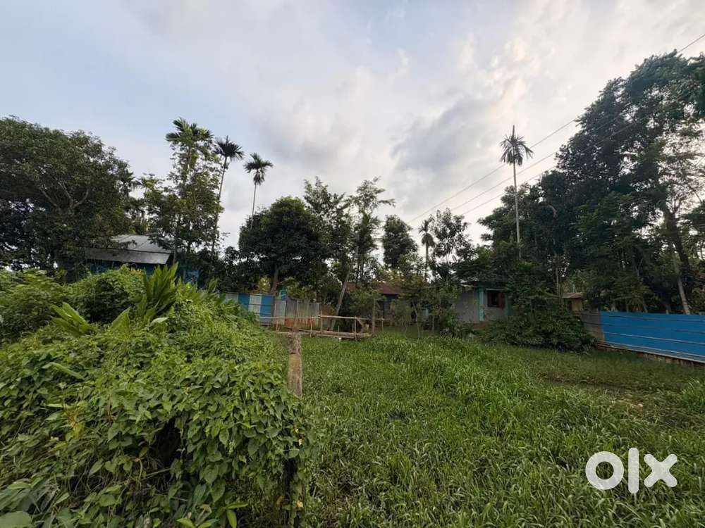 অত্যন্ত জরুরি ভিত্তিতে দুই গণ্ডা জমি বিক্রি করা হবে।