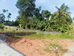 4 cent original land for sale in kakkanad near mavelipuram