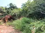 93 cents. Main road of Thaneeekode road Kappur village, Pattambi.