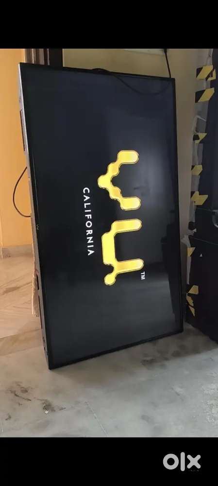 Vu 55 inch tv