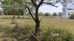 Land plot available for sale veeraragavapuram
