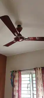 Havells fan