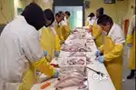 Fish Monger