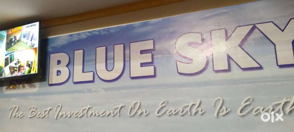 Need male/female candidate for office