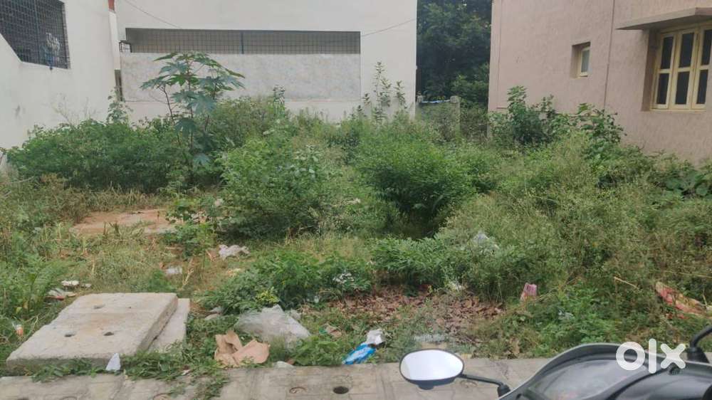 site for sale