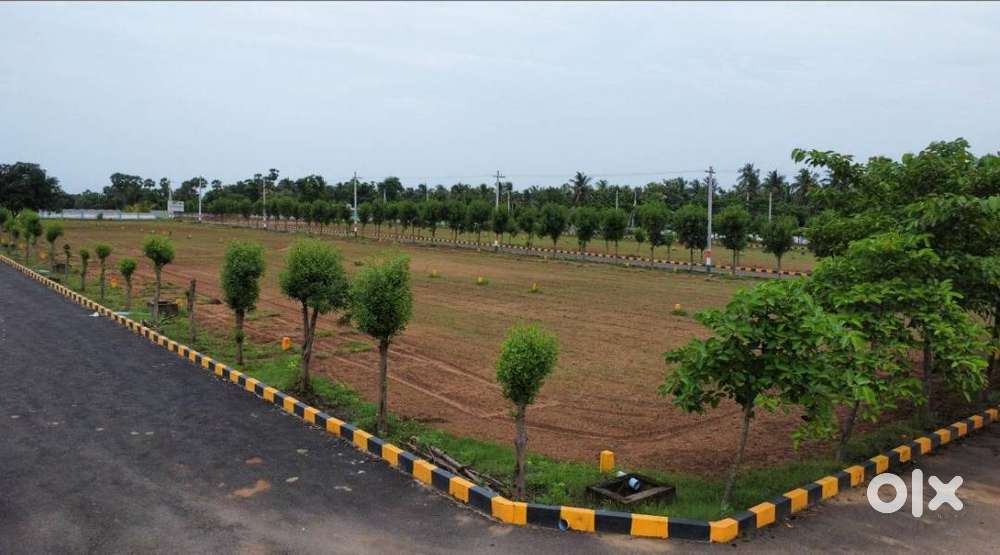 100% Legal Approved Layout