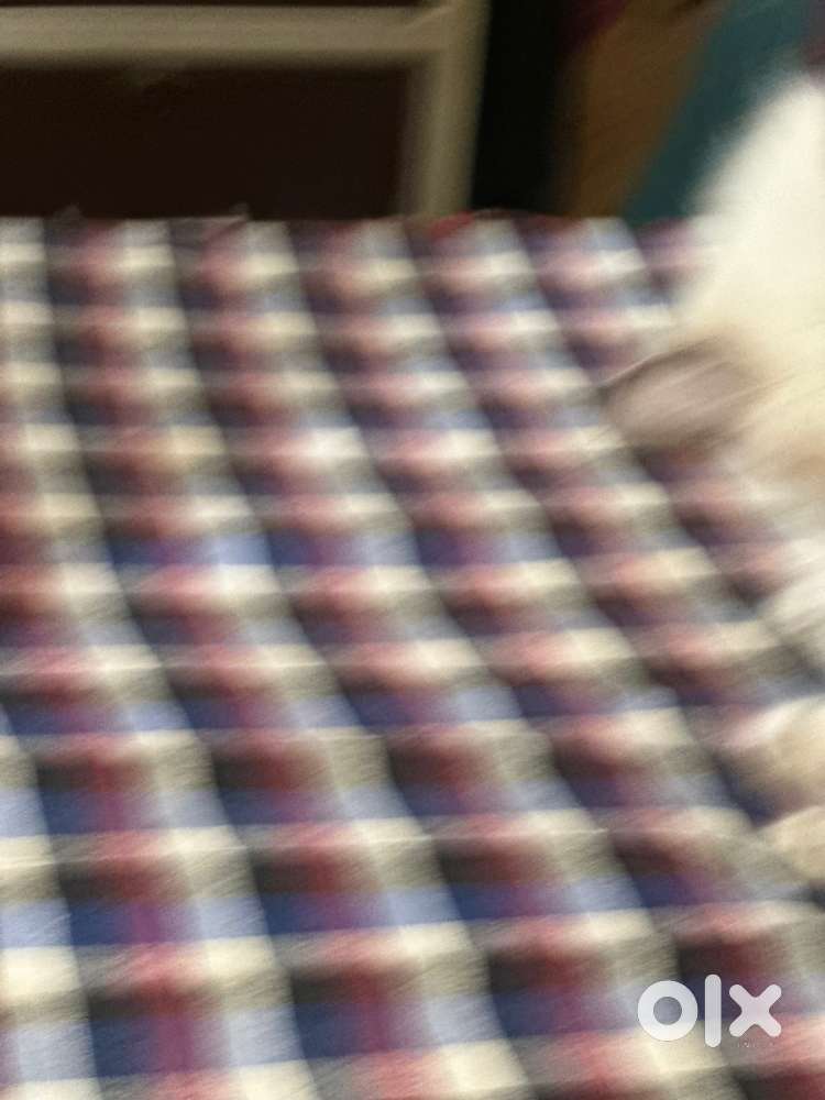 84.60 gaz regular nd map approved plot for sale