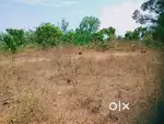 സ്ഥലം വില്പനക്ക്