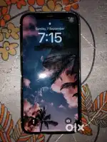 12 pro silver colour