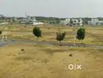 1.71 Cents Granted In Every Plots.