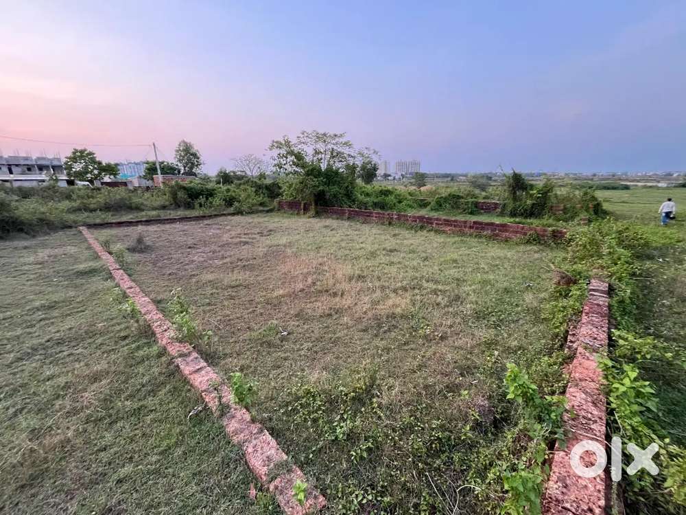 Rent my Plot 3500 Sqft near DN regalia