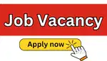 FRESHERS JOB VACANCY