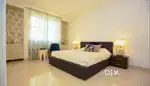 1 BHK Fully Furnished Flat on VIP Road, Zirakpur