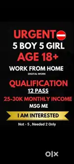 Work from home opportunity