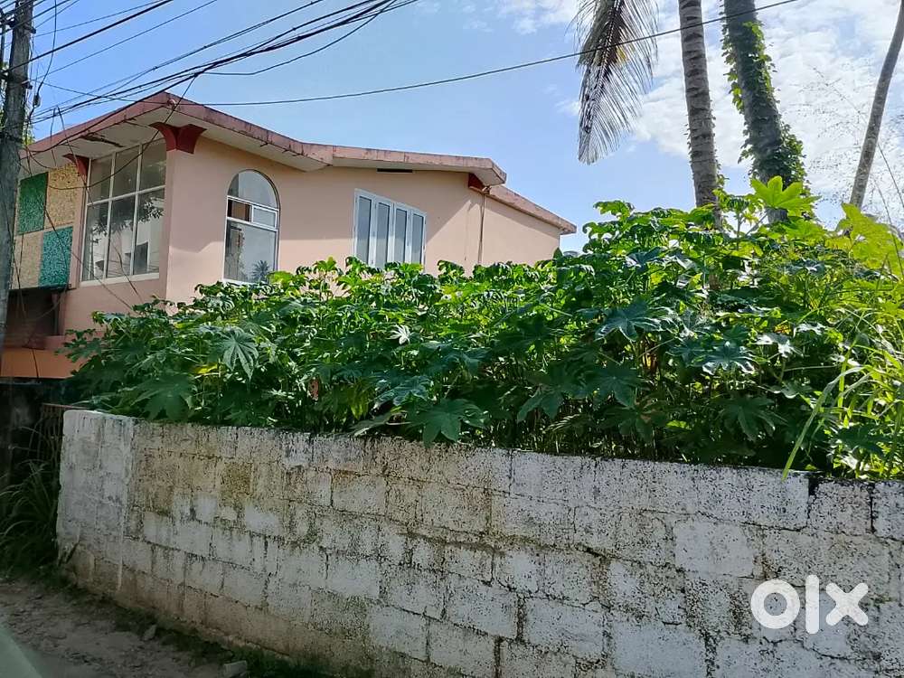 Sasthamangalam Near  Pippinmood 5.5 Cent Karabhumi Per Cent 20 Lakhs