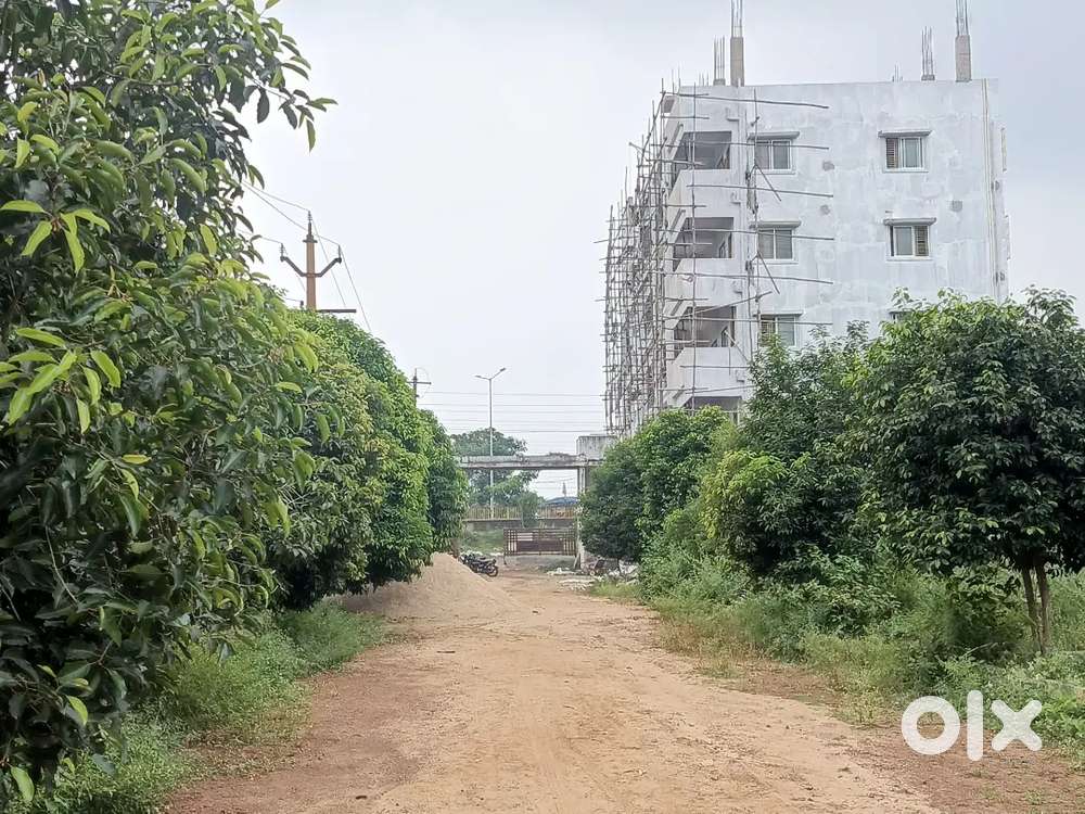 Uma Green Valley - Velugubanda

Rajahmundry - Vizag National Highway