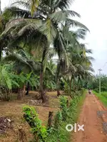 Land for sale at Thrithala, Palakkad dist.