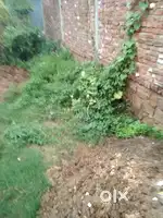 Mera plot ganga Bihar me h 1350 area h mujay jaldi sale karna h