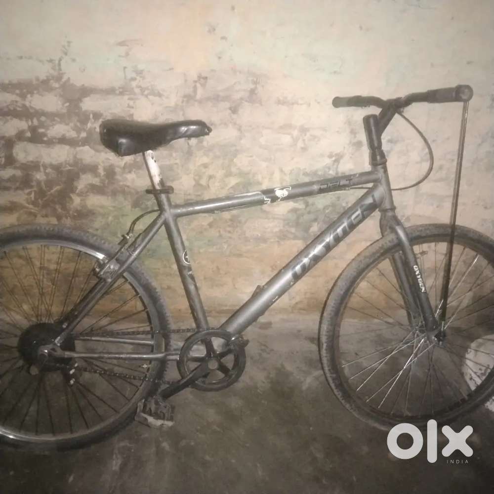 2019 model