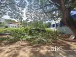 5.05 Cent,East,Dtcp Approved,Land for sale in Thendral Nagar,Vadavalli