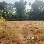 INFOPARK KAKKANAD 8KM / 10 CENT PALLIKKARA PARAKODE PAZHANTHOTTAM