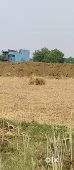 Residential Plot for Sale in Surya Nagar Colony, Ara – Prime Location