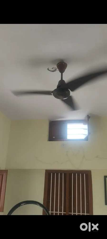 Ceiling Fan
