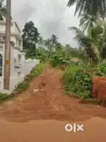 2 acre 85 cent land for sale in perumbadavu kannur