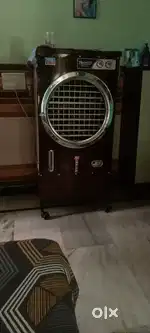 Cooler one year old