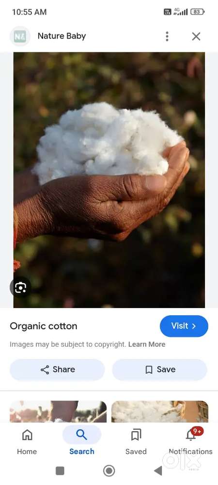 Cotton Rui