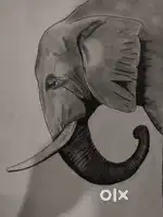 PENCIL ELEPHANT SKETCH
