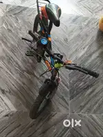 Roland cycle