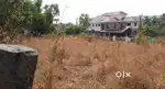 20 Cents plain land for RENT
