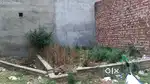 For sale very good opportunity
