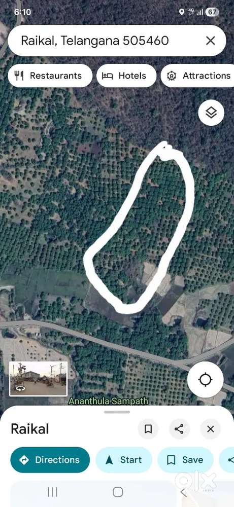 13.5 acres mango farm for sale in Raikal, Jagtial dist