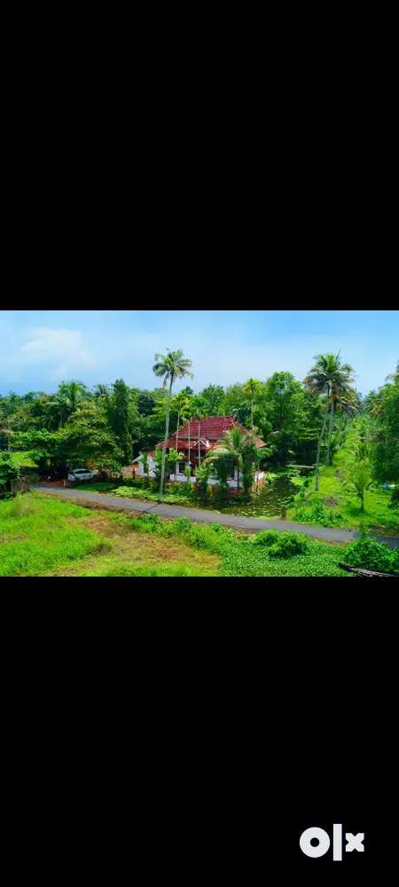 Vembanad lake facing Home stay for sale